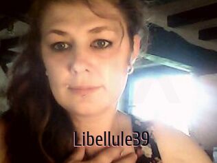Libellule39