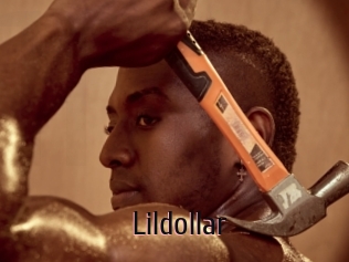 Lildollar