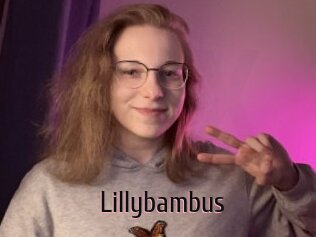Lillybambus