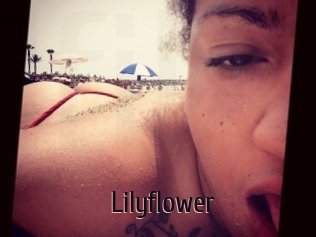 Lilyflower