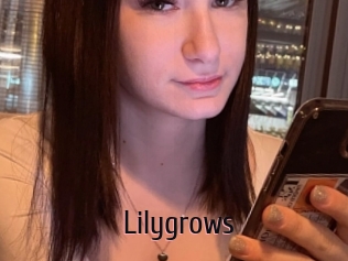 Lilygrows