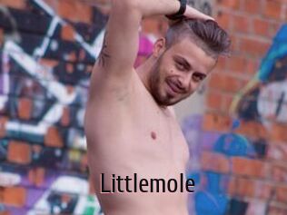 Littlemole
