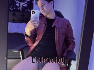 Littleteddy