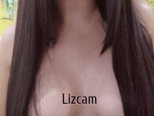 Lizcam