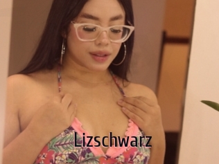Lizschwarz