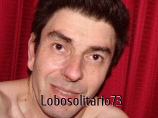 Lobosolitario73