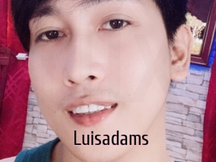 Luisadams