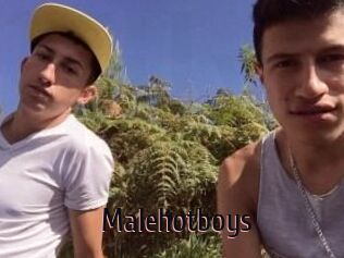 Malehotboys