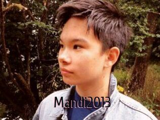 Mandi2013