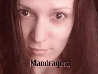 Mandragora