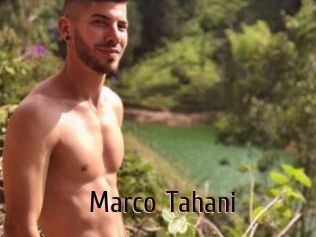 Marco_Tahani
