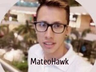 MateoHawk