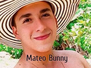 Mateo_Bunny
