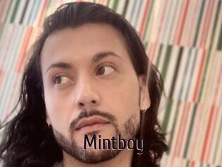 Mintboy