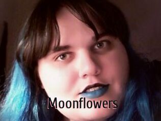 Moonflowers