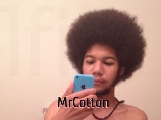 MrCotton