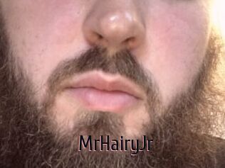 MrHairyJr