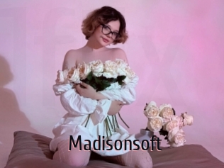 Madisonsoft