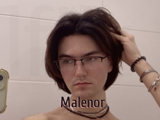 malenor 1 film x