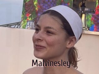 Malvinesley