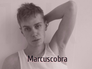 marcuscobra 1 film x