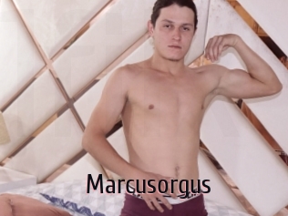 Marcusorgus