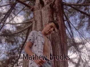 Mathew_brooks