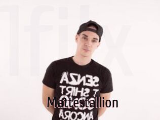 Mattestallion