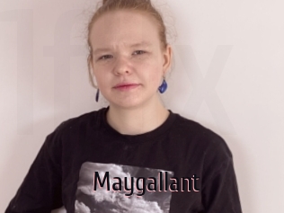 Maygallant