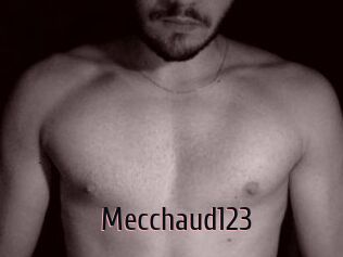 Mecchaud123