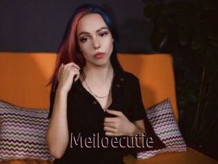 Meiloecutie
