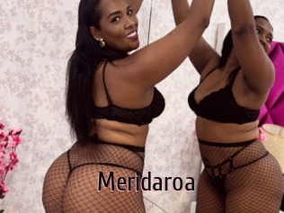 Meridaroa