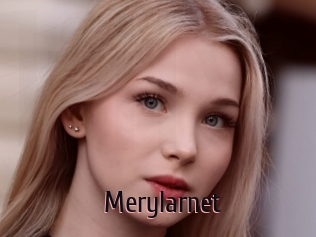 Merylarnet