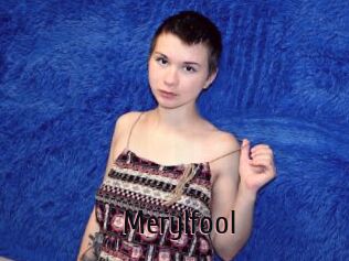 Merylfool