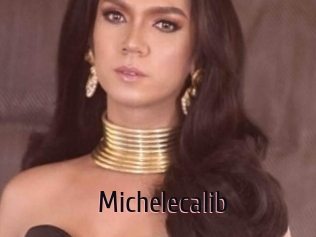 Michelecalib