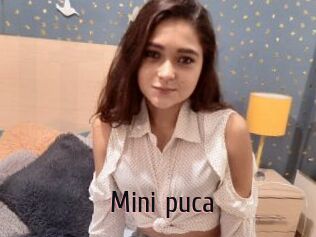 Mini_puca