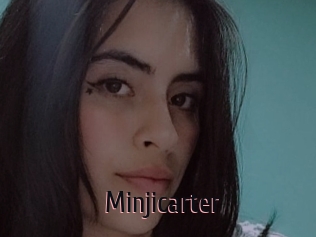 Minjicarter