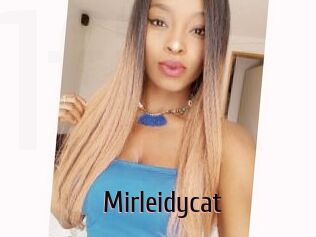 Mirleidycat