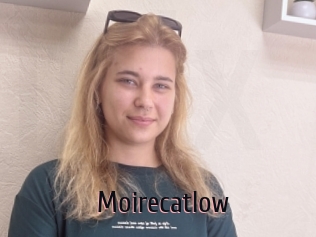 Moirecatlow