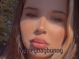 Moneybagbunny