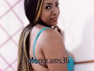 Monycams36