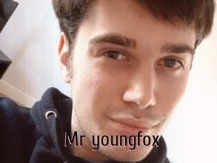 Mr_youngfox