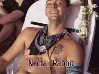 Nectar_Rabbit