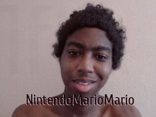 NintendoMarioMario