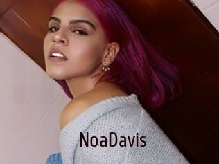 NoaDavis