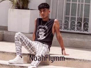 NoahFlymm