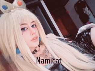 namicat 1 film x