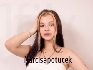 Narcisapotucek