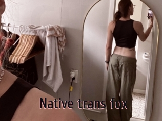 Native_trans_fox