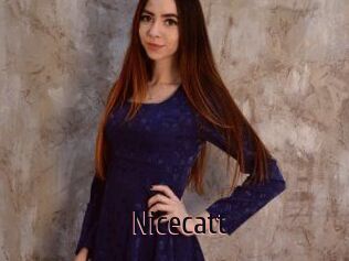 Nicecatt